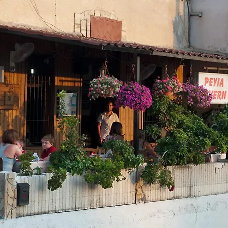 Vineyard By Villa Peyia